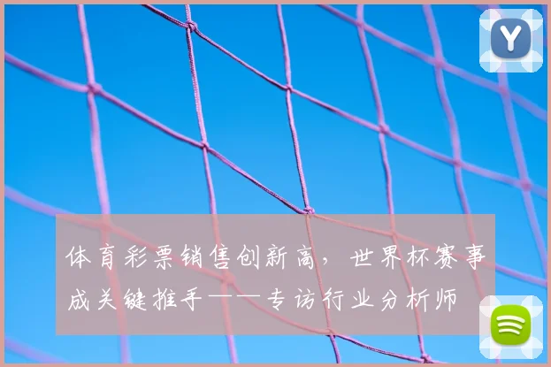 体育彩票销售创新高，世界杯赛事成关键推手——专访行业分析师