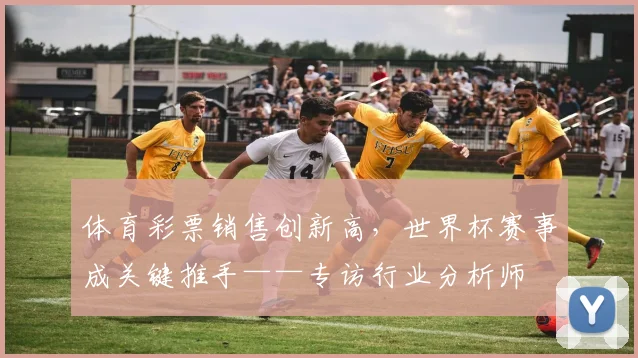 体育彩票销售创新高，世界杯赛事成关键推手——专访行业分析师