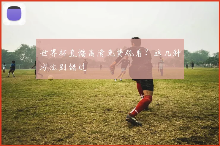 世界杯直播高清免费观看?这几种方法别错过